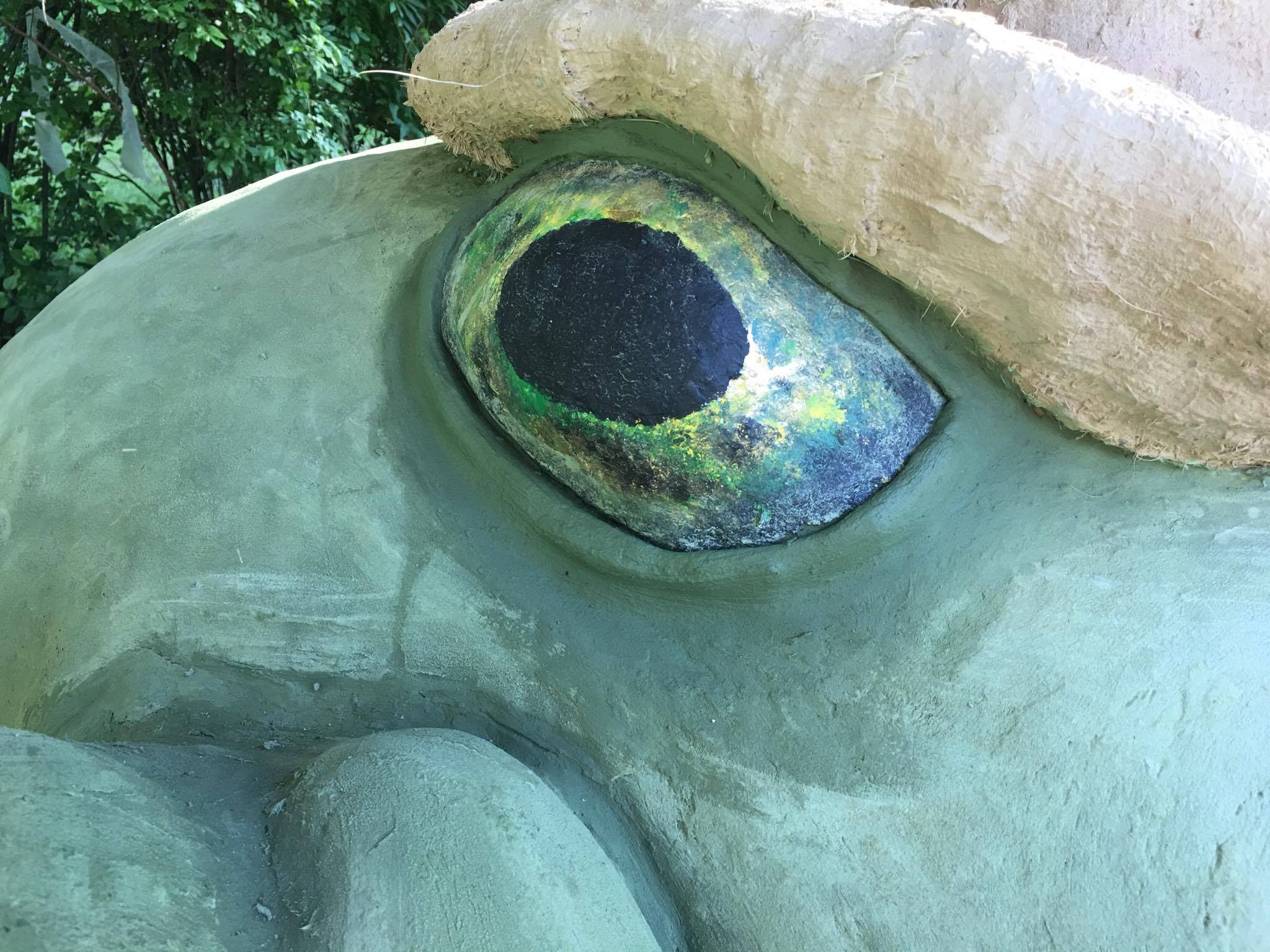 Frog Close Up